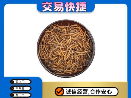 玉林回收散虫草